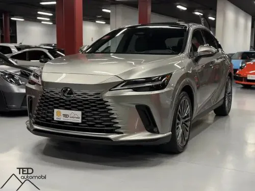 Lexus RX 450h Hybrid Endollable