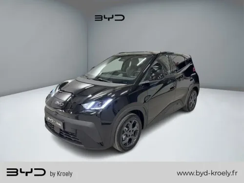 BYD Dolphin Surf Boost 88ch