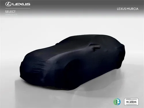 Lexus UX SUV BUSINESS 2.0 L Híbrido (2WD)
