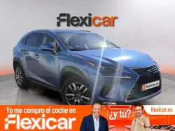 Lexus NX 300h Executive Kick Power+ Navigation 4WD