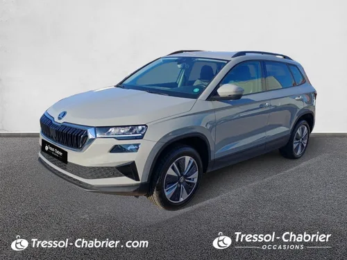 Skoda Karoq 2.0 TDI 116 ch SCR DSG7 Style