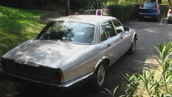 JAGUAR XJ 12