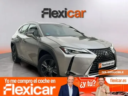 Lexus UX 250h Business 4WD