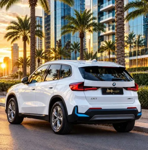 BMW X1 xDrive30 xLine