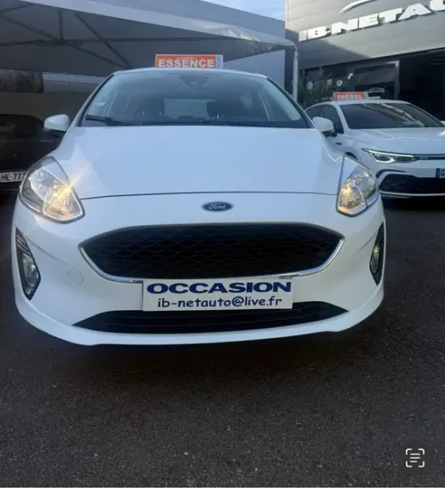 Ford fiesta business 1.0 ecoboost 100ch 5p