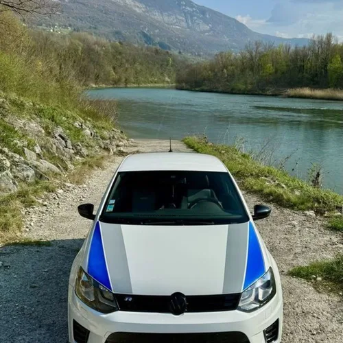 Polo WRC
