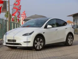 Tesla Model Y Standard