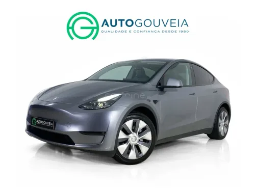 Tesla Model Y Long Range Dual Motor AWD
