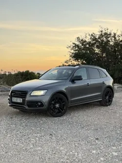 Audi SQ5 3.0TDI quattro Tiptronic 313