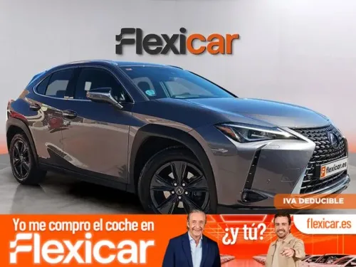 Lexus UX 250h Business 4WD
